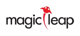 MAGIC LEAP