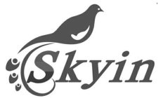 SKYIN