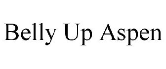 BELLY UP ASPEN
