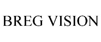 BREG VISION