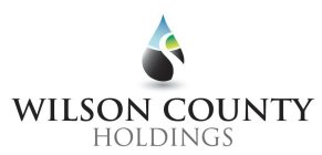 WILSON COUNTY HOLDINGS