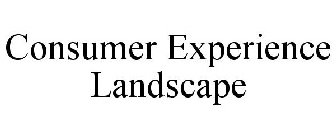 CONSUMER EXPERIENCE LANDSCAPE