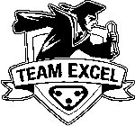 TEAM EXCEL