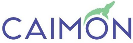 CAIMON