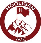 HOOLIGAN AVE H