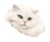 Image Trademark