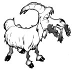 Image Trademark