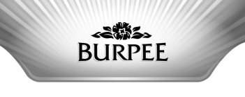 BURPEE