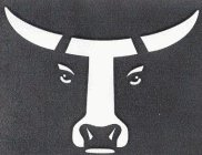 Image Trademark