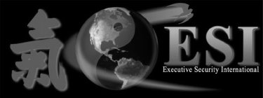 ESI EXECUTIVE SECURITY INTERNATIONAL