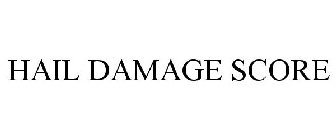 HAIL DAMAGE SCORE