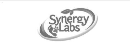 SYNERGY LABS