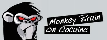 MONKEY BRAIN ON COCAINE