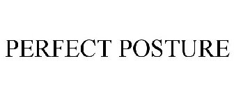 PERFECT POSTURE