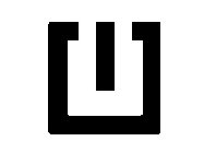 CAPITAL LETTER 