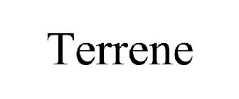 TERRENE