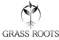 GRASS ROOTS