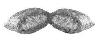 Image Trademark