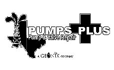 PUMPS PLUS PUMP & VALVE REPAIR A GEONIX COMPANY