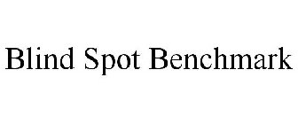 BLIND SPOT BENCHMARK