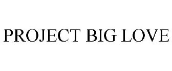 PROJECT BIG LOVE