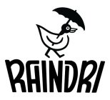 RAINDRI