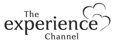 THE EXPERIENCE CHANNEL