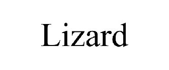 LIZARD