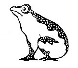 Image Trademark