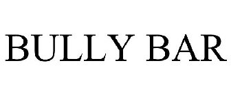 BULLY BAR