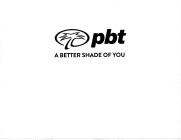 PBT A BETTER SHADE OF YOU