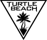 TURTLE BEACH