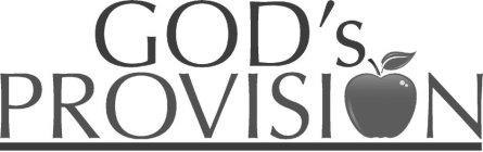 GOD'S PROVISION