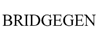 BRIDGEGEN