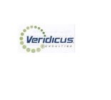 VERIDICUS CONSULTING