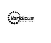 VERIDICUS CONSULTING