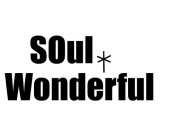 SOUL WONDERFUL