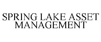 SPRING LAKE ASSET MANAGEMENT