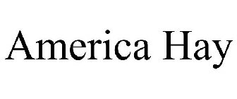 AMERICA HAY
