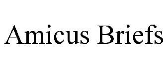AMICUS BRIEFS