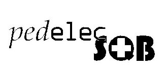PEDELEC SQB