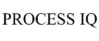 PROCESS IQ