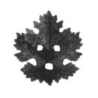 Image Trademark