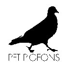 PET PIGEONS