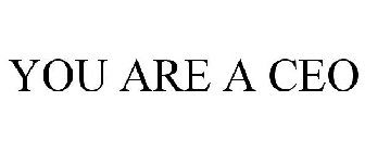 YOU ARE A CEO