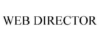 WEB DIRECTOR