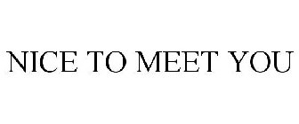 NICE TO MEET YOU