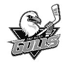 SAN DIEGO GULLS