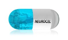 NEUROCEL