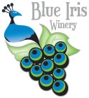 BLUE IRIS WINERY